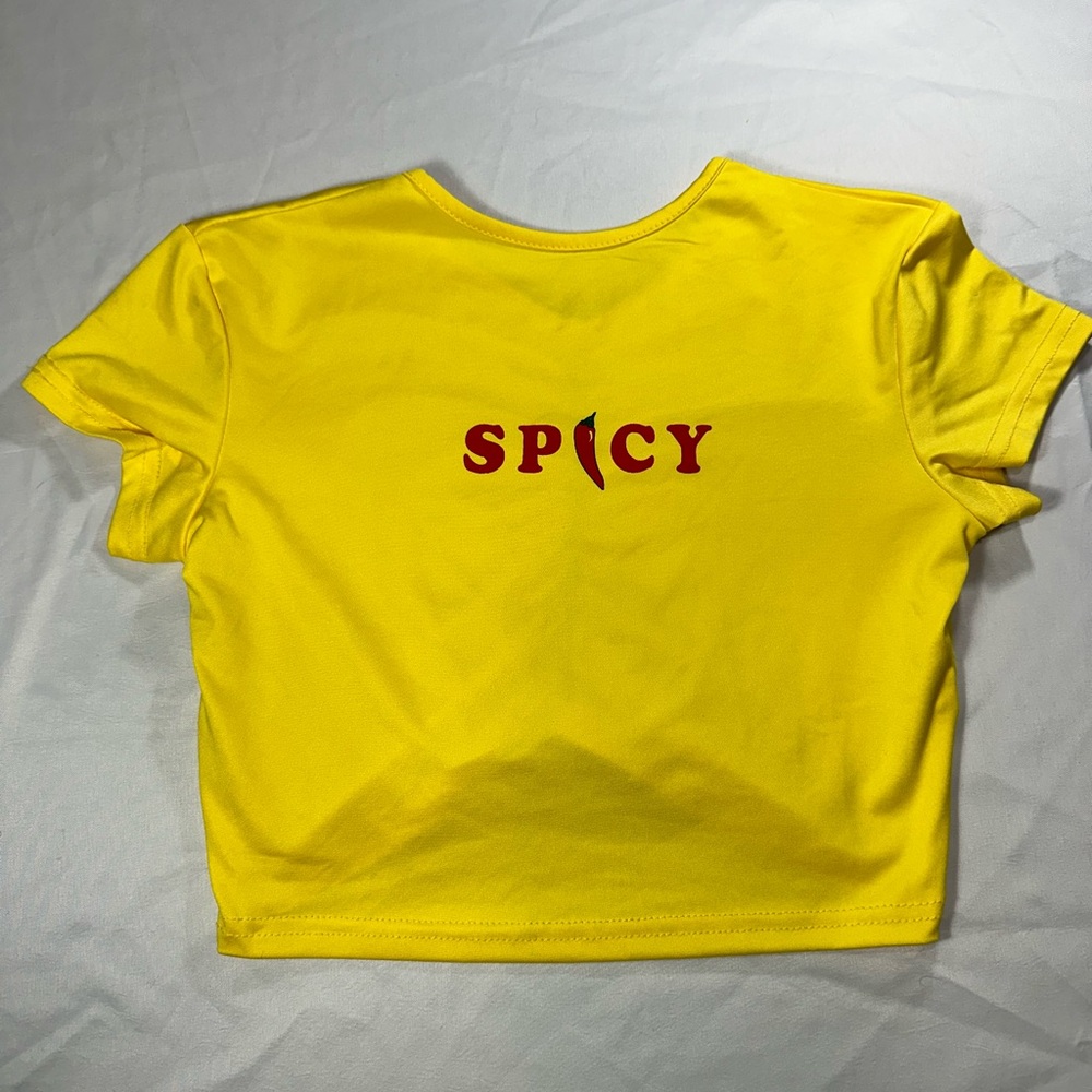 Y2K spicy Summer crop top